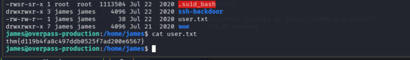 user.txt flag: thm{d119b4fa8c497ddb0525f7ad200e6567}